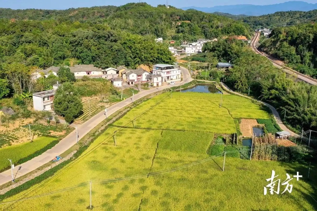 微信圖片_20250908094159_5_1390.jpg